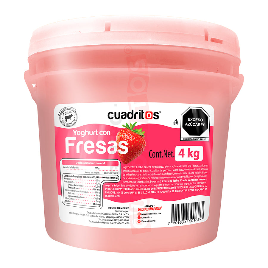 Yoghurt con fruta (Cubeta) Cuadritos