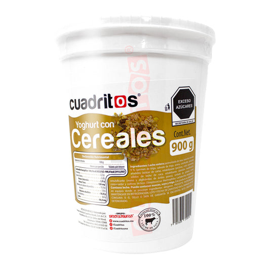 Yoghurt Con Fruta Cuadritos
