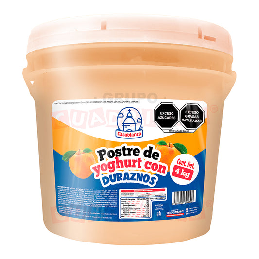 Postre de Yoghurt con frutas Casablanca
