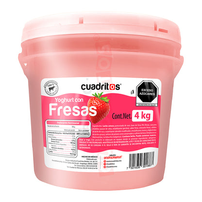 Yoghurt con fruta (Cubeta) Cuadritos